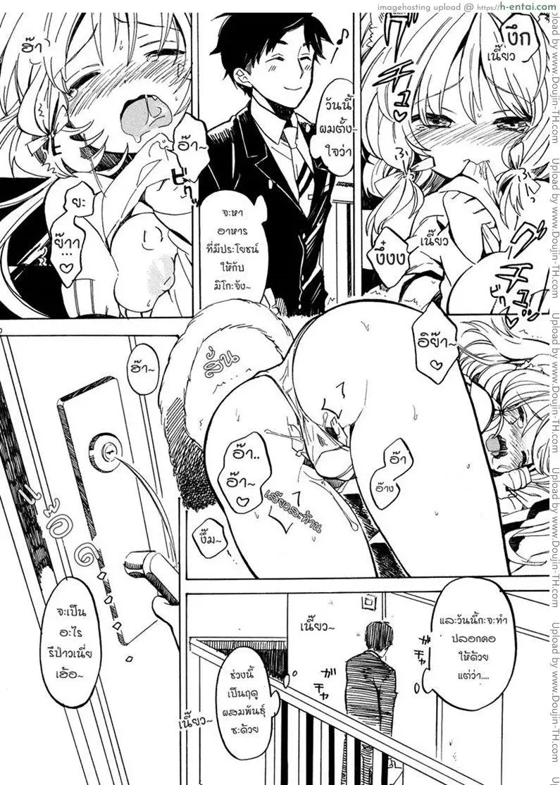 แนวหูแมว - แผ่น 5