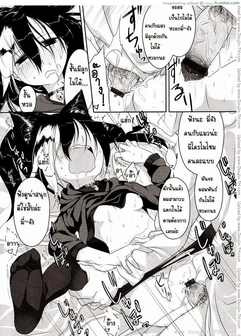รับบทเป็นแมวที่ตาย - แผ่น 19
