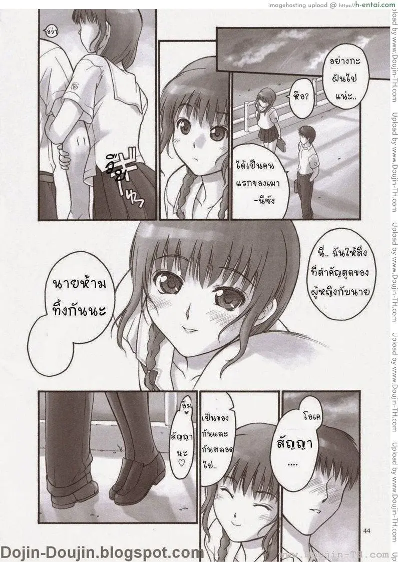 เมานีเกิลด์ - แผ่น 41