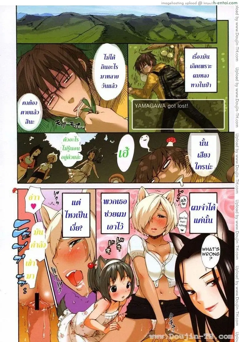 เห็ดฮาเร็ม - แผ่น 2