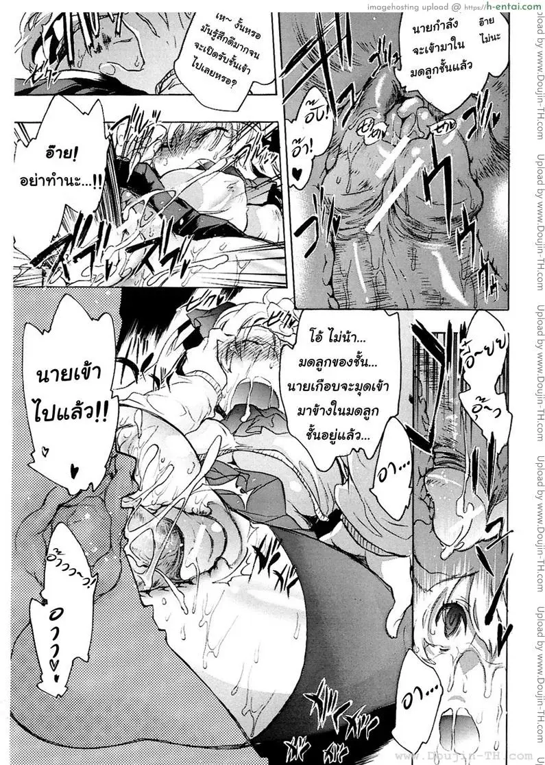 บุปผาแห่งรัก 3 - ฟุคุมิมิ - แผ่น 19