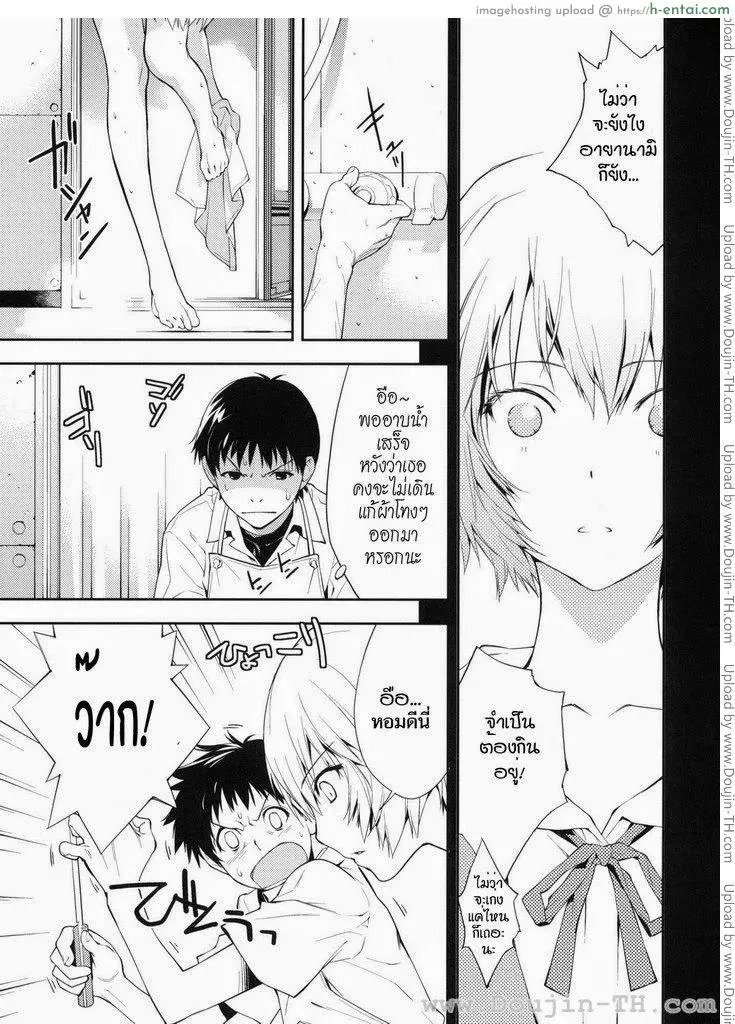 อีวานเกเลียน - นกสีน้ำเงิน - แผ่น 5