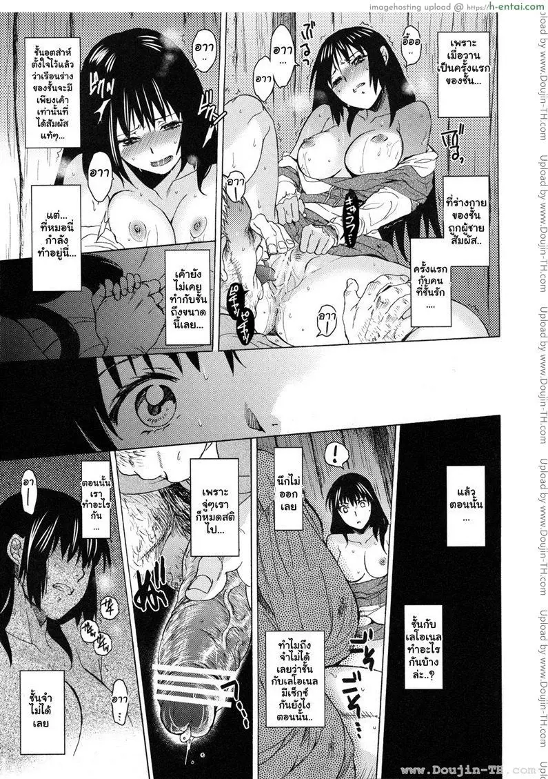 อเนสซ่า - แผ่น 24