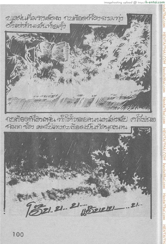 คืนส่องกบ - แผ่น 4