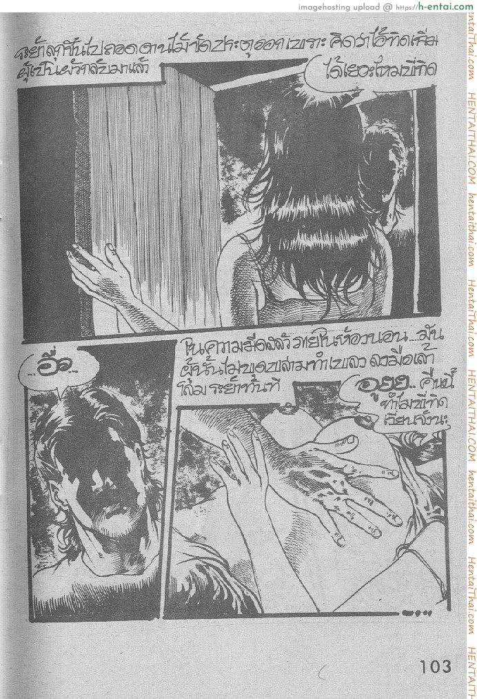 คืนส่องกบ - แผ่น 7