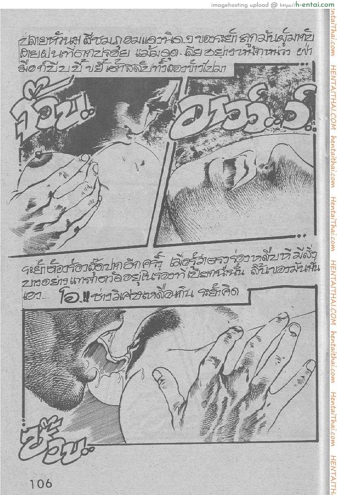 คืนส่องกบ - แผ่น 10