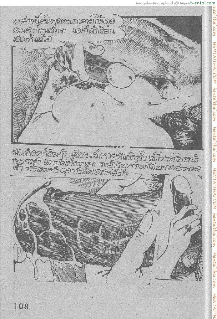 คืนส่องกบ - แผ่น 12