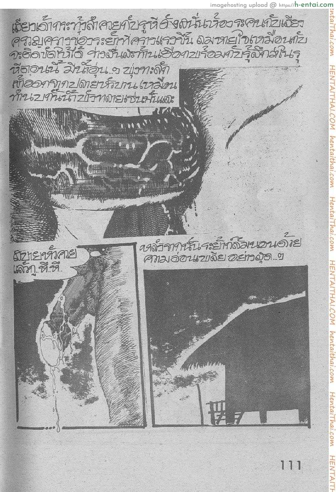 คืนส่องกบ - แผ่น 15