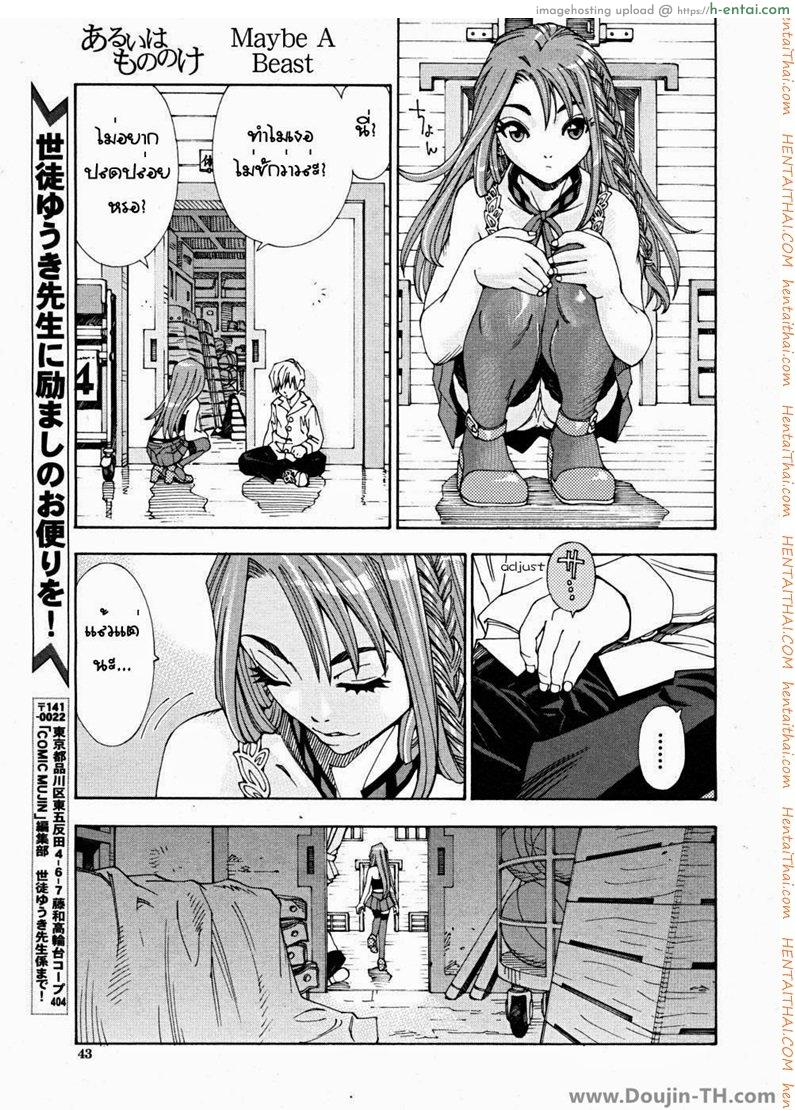 ลักษณะพิเศษ 1 - แผ่น 11