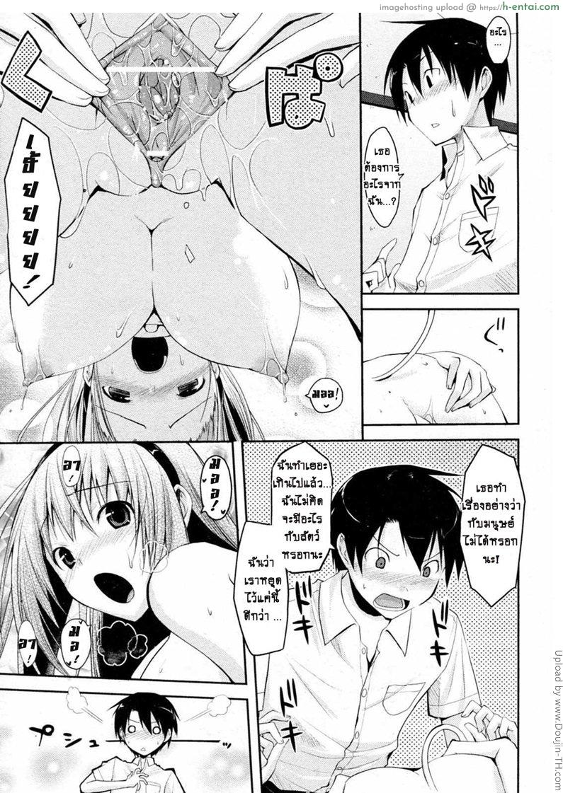 แม่วัวพันธ์นม - แผ่น 11