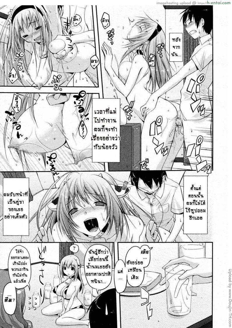 แม่วัวพันธ์นม - แผ่น 17