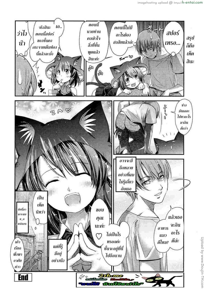 พันธ์ผสมหัดลองเสียว 2 - แคทสรูม - แผ่น 20