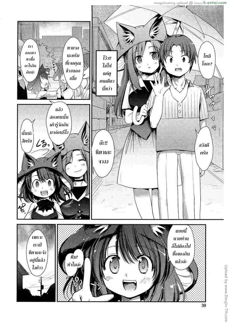 พันธ์ผสมหัดลองเสียว 3 - ชิตาเกะ - แผ่น 2