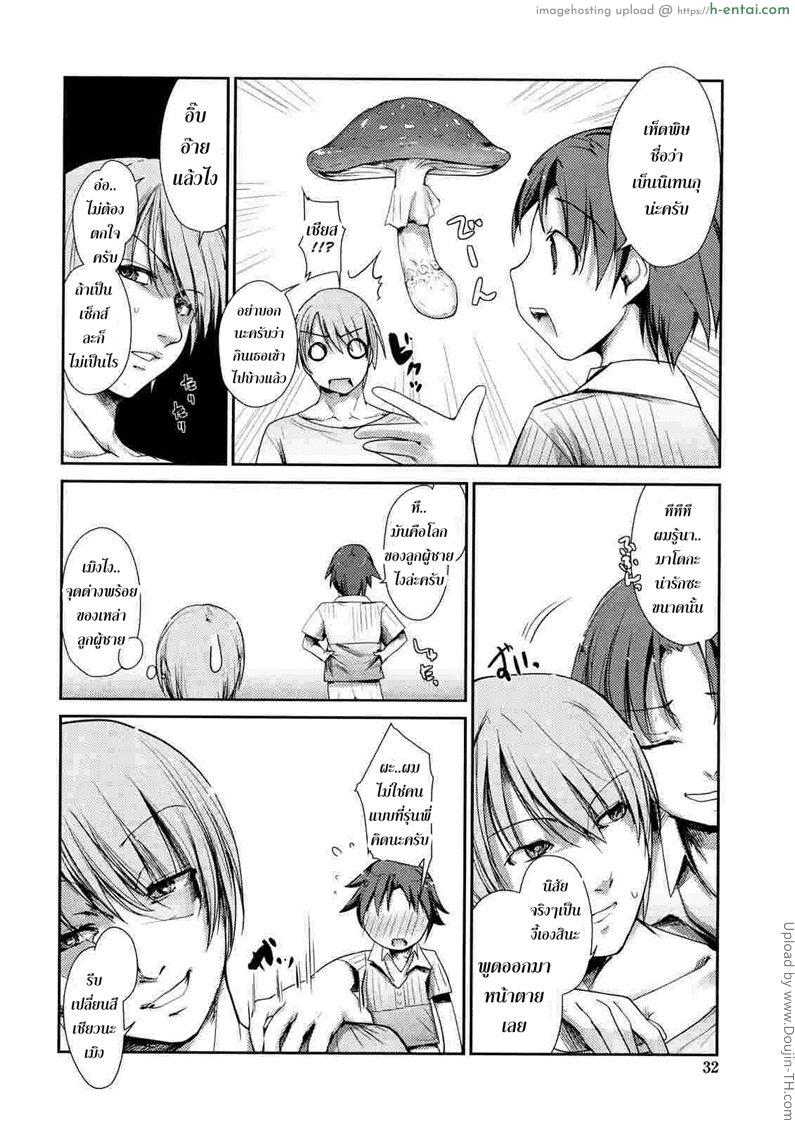 พันธ์ผสมหัดลองเสียว 3 - ชิตาเกะ - แผ่น 4