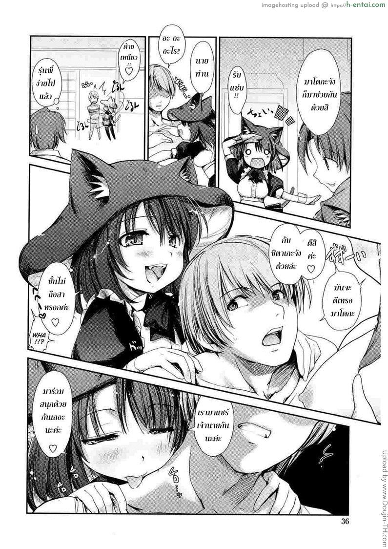 พันธ์ผสมหัดลองเสียว 3 - ชิตาเกะ - แผ่น 8