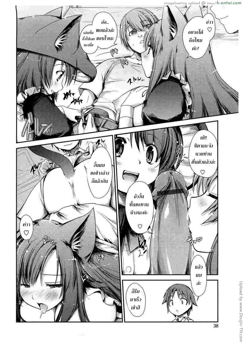 พันธ์ผสมหัดลองเสียว 3 - ชิตาเกะ - แผ่น 10