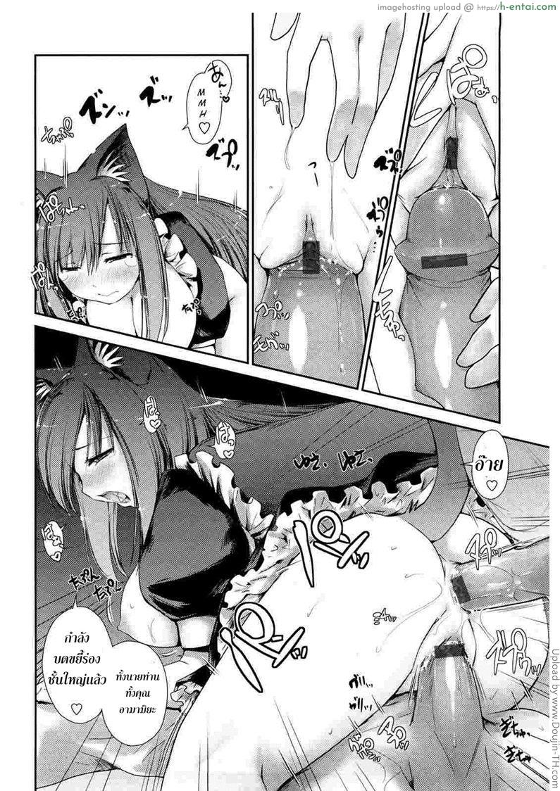 พันธ์ผสมหัดลองเสียว 3 - ชิตาเกะ - แผ่น 14