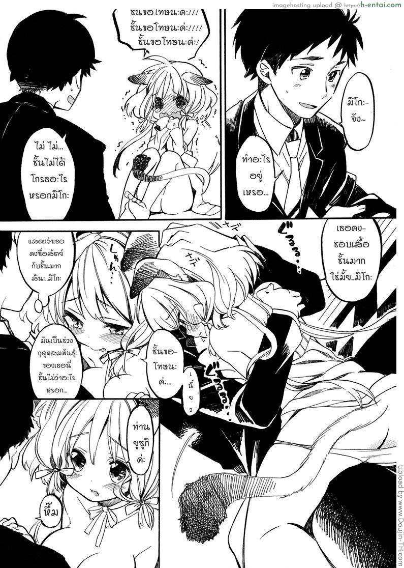 ฤดูแมวติดสัตว์ - แผ่น 8