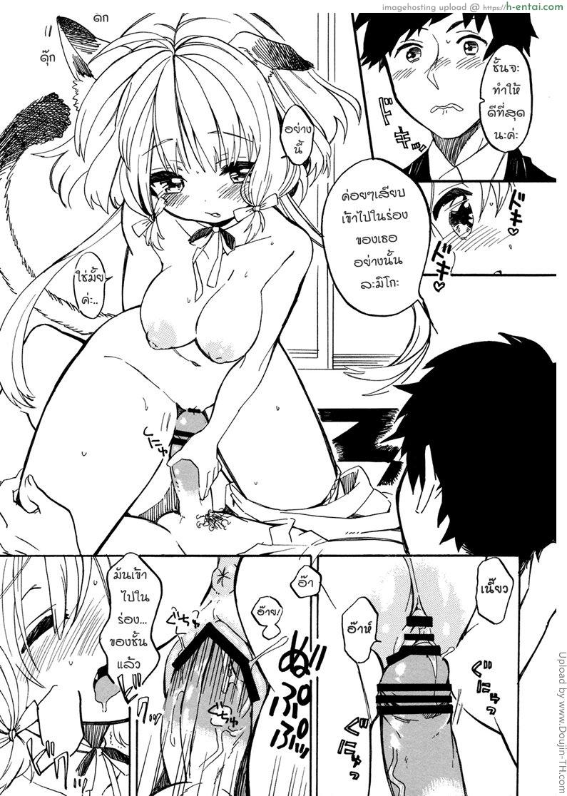 ฤดูแมวติดสัตว์ - แผ่น 12