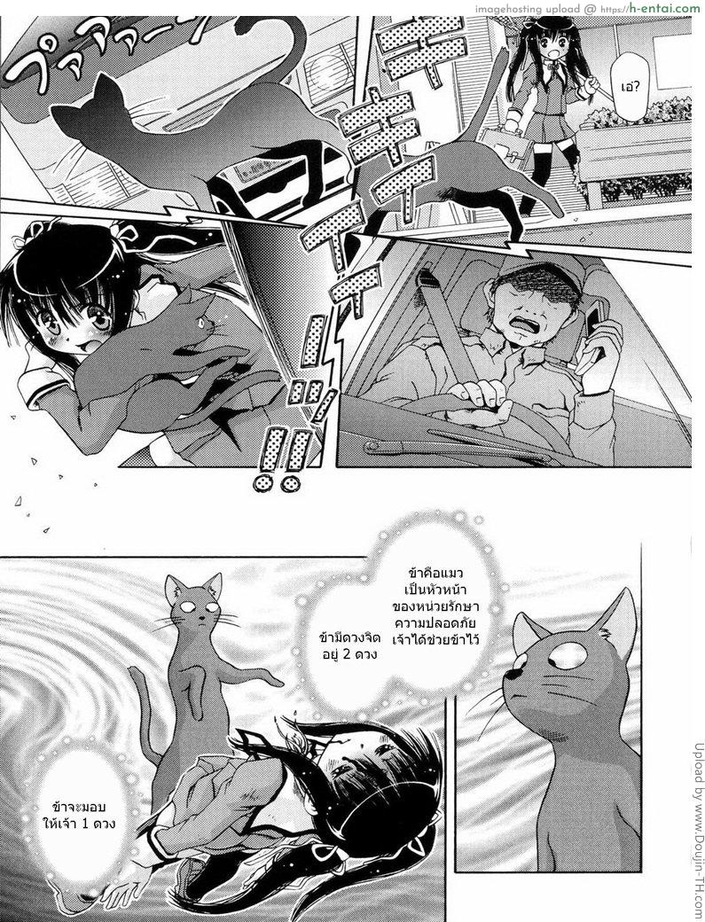 เมื่อน้องสาวกลายเป็นแมว - แผ่น 1