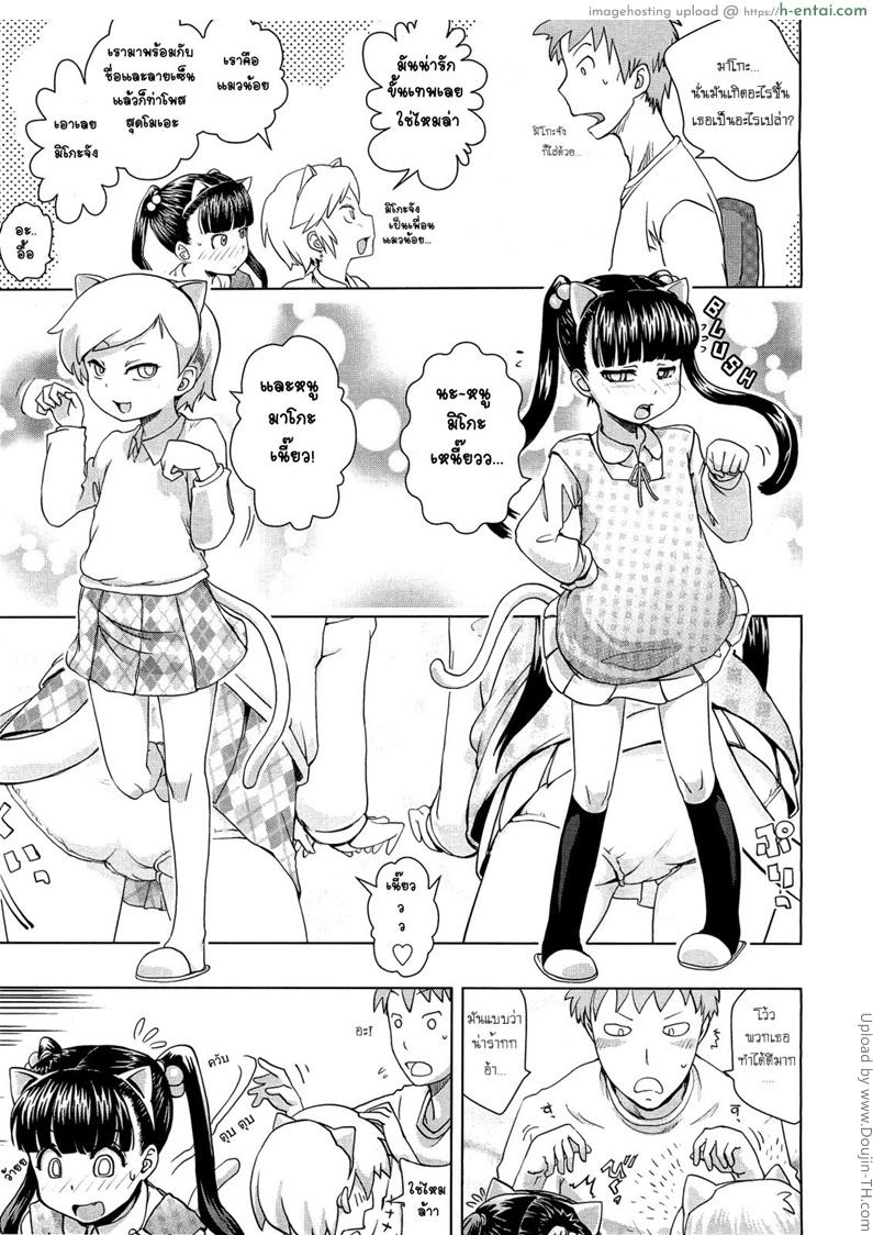 ความลับของพี่กับแมว - แผ่น 3