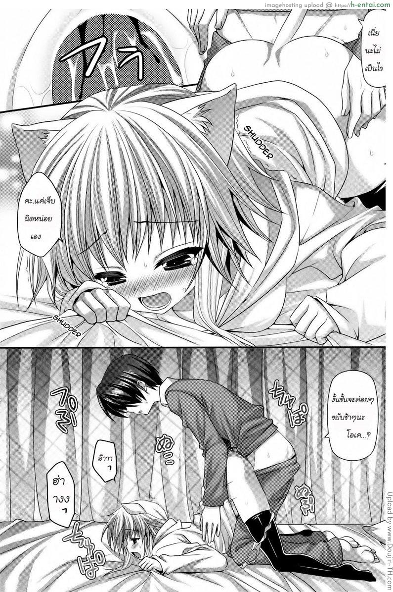 ข้อดีของการเลี้ยงแมว - แผ่น 11