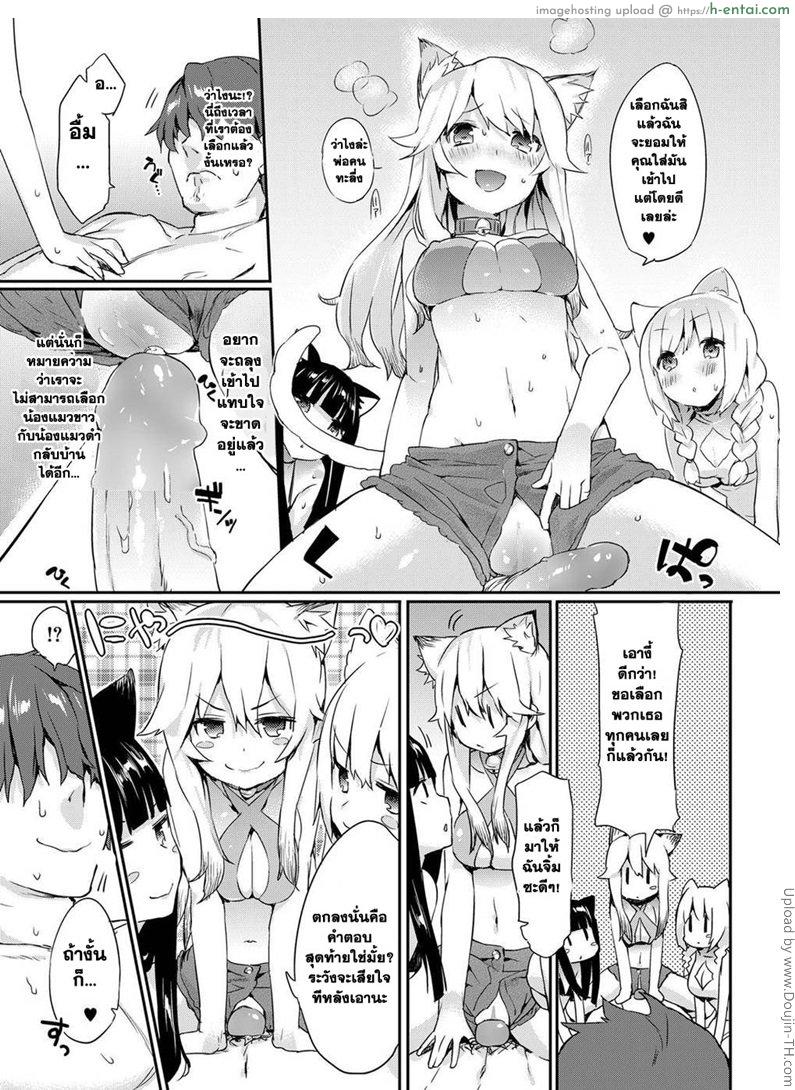 ปฏิบัติการ เมี๊ยว เมี๊ยว พิชิตรัก - แผ่น 11