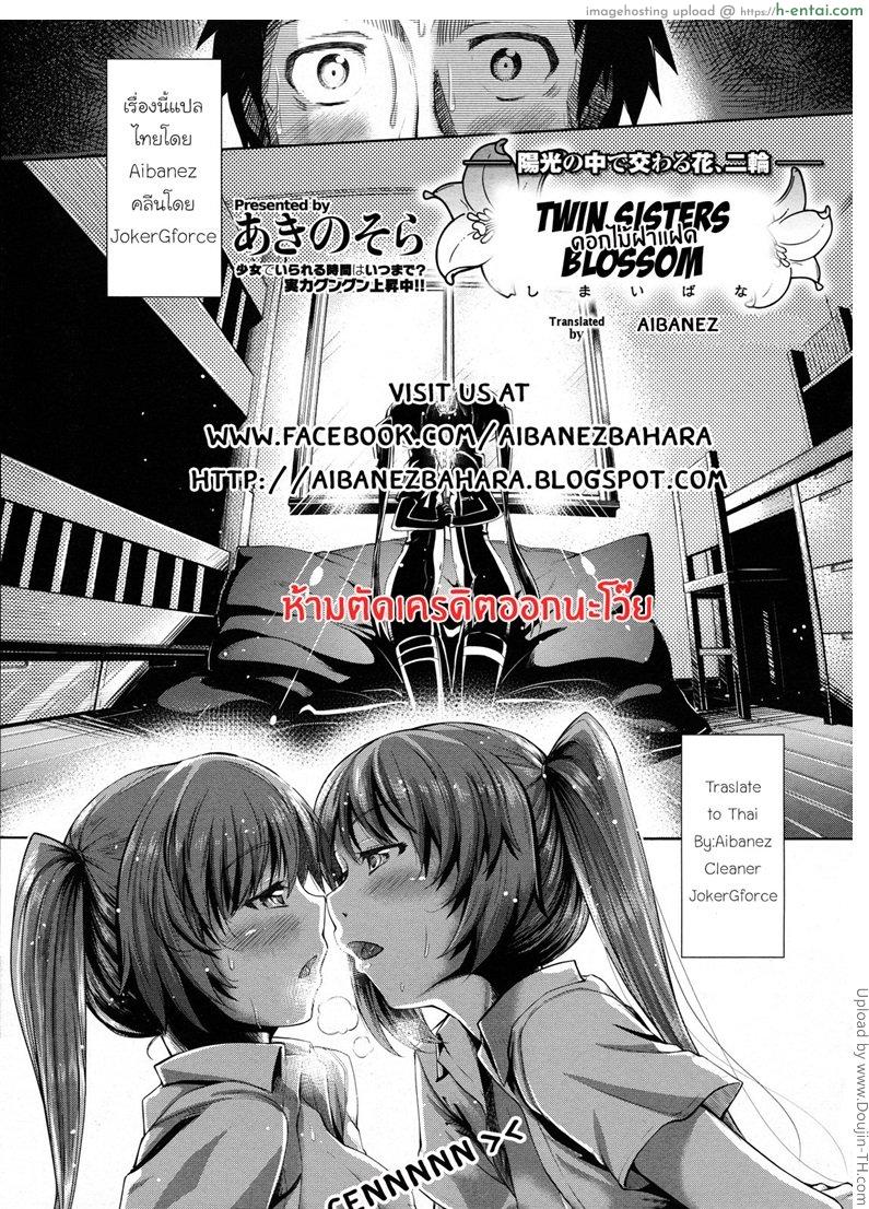 ดอกไม้ฝาแฝด - แผ่น 24