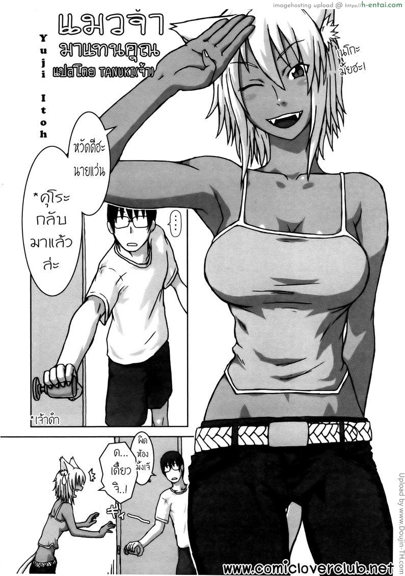 แมวจ๋ามาแทนคุณ - แผ่น 2