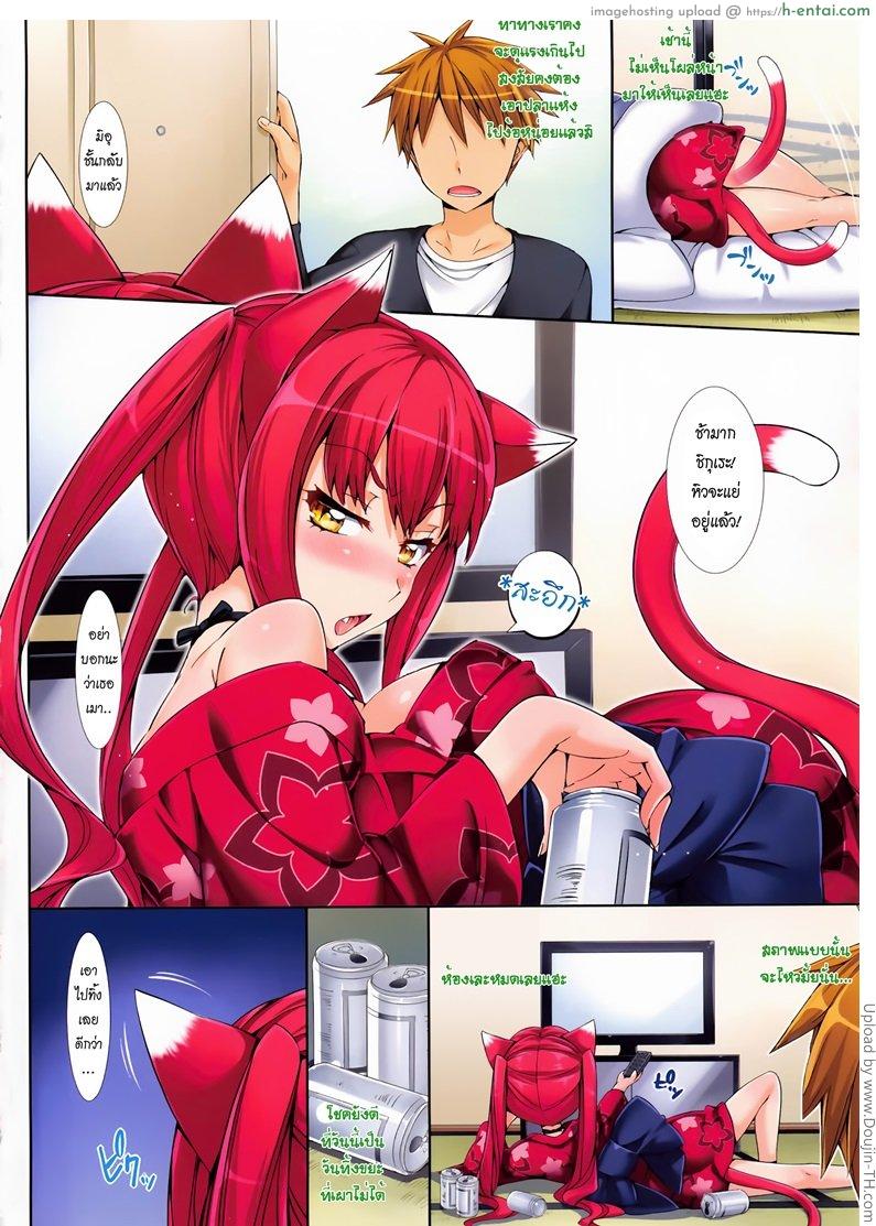 แมวสาวตอบแทนคุณ - แผ่น 2