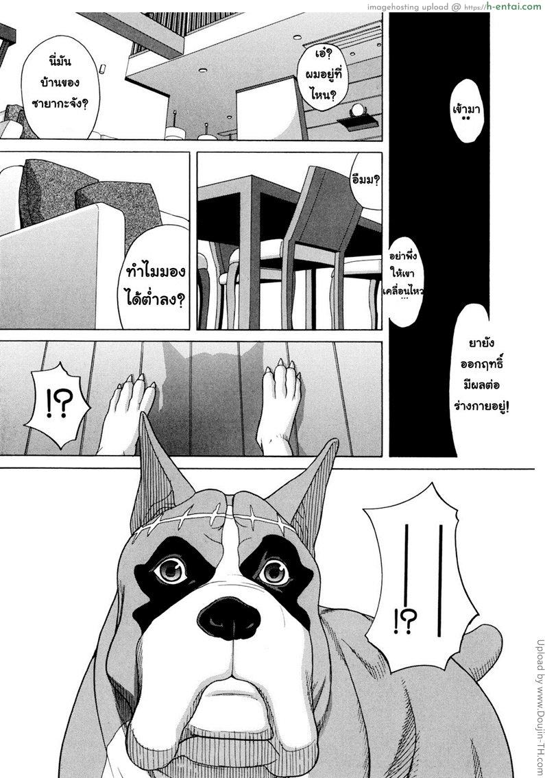 เป็นหมาถึงได้เซ็กซ์ 1 - แผ่น 6
