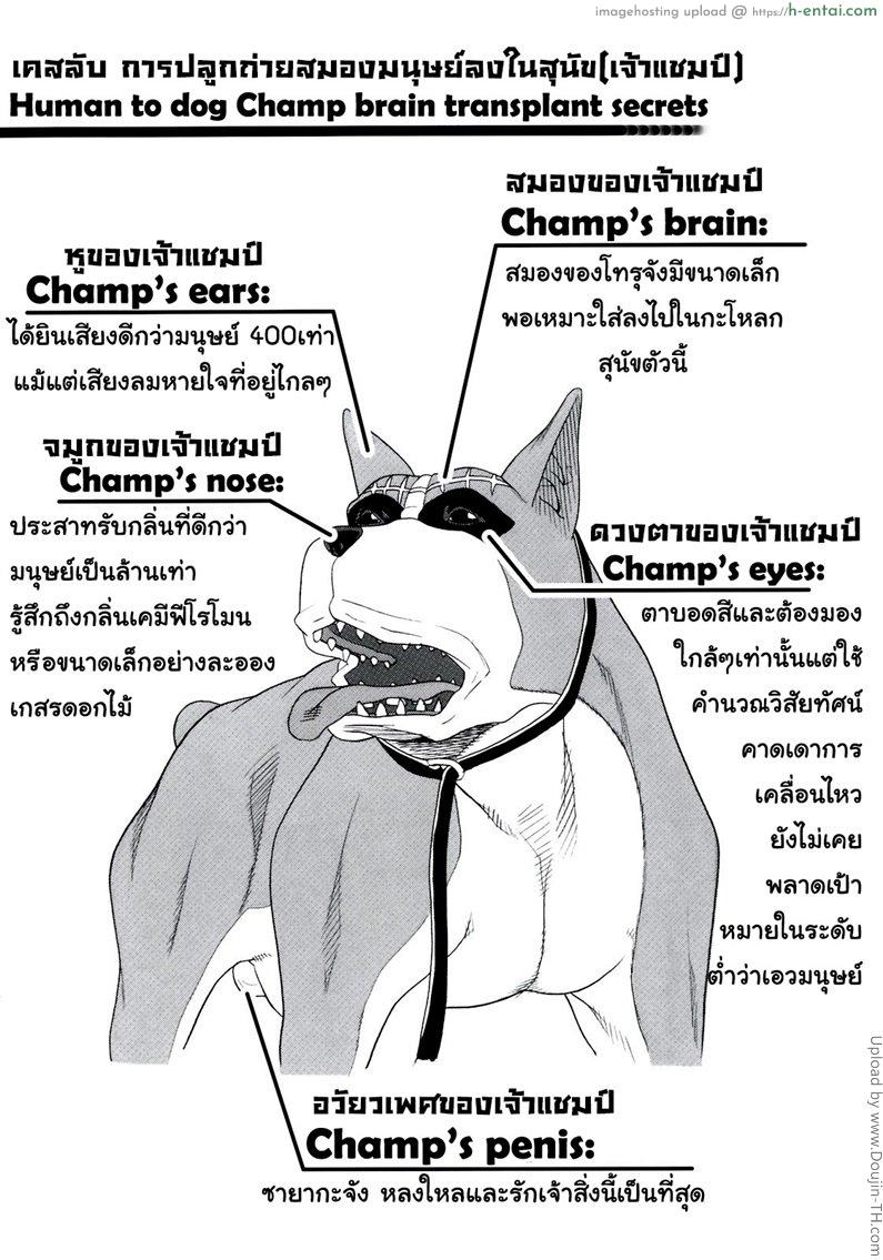 เป็นหมาถึงได้เซ็กซ์ 1 - แผ่น 30