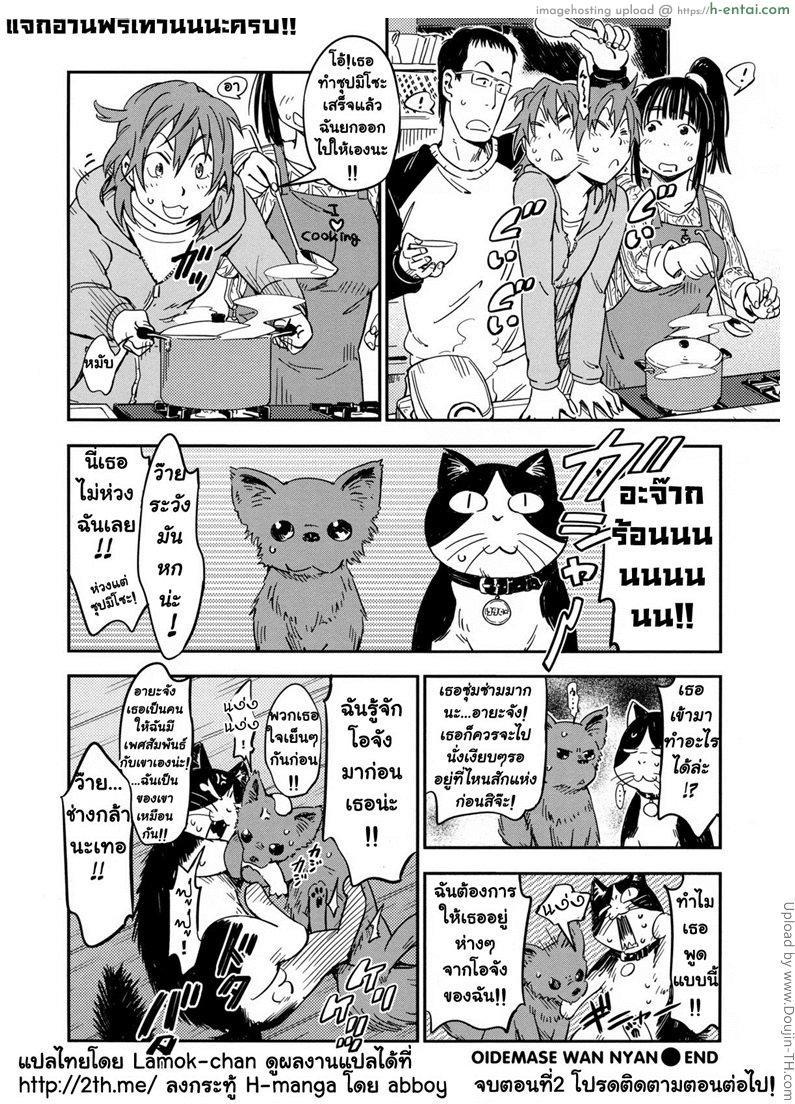 รักฉันต้องเลี้ยงเหมียว 2 - แผ่น 24