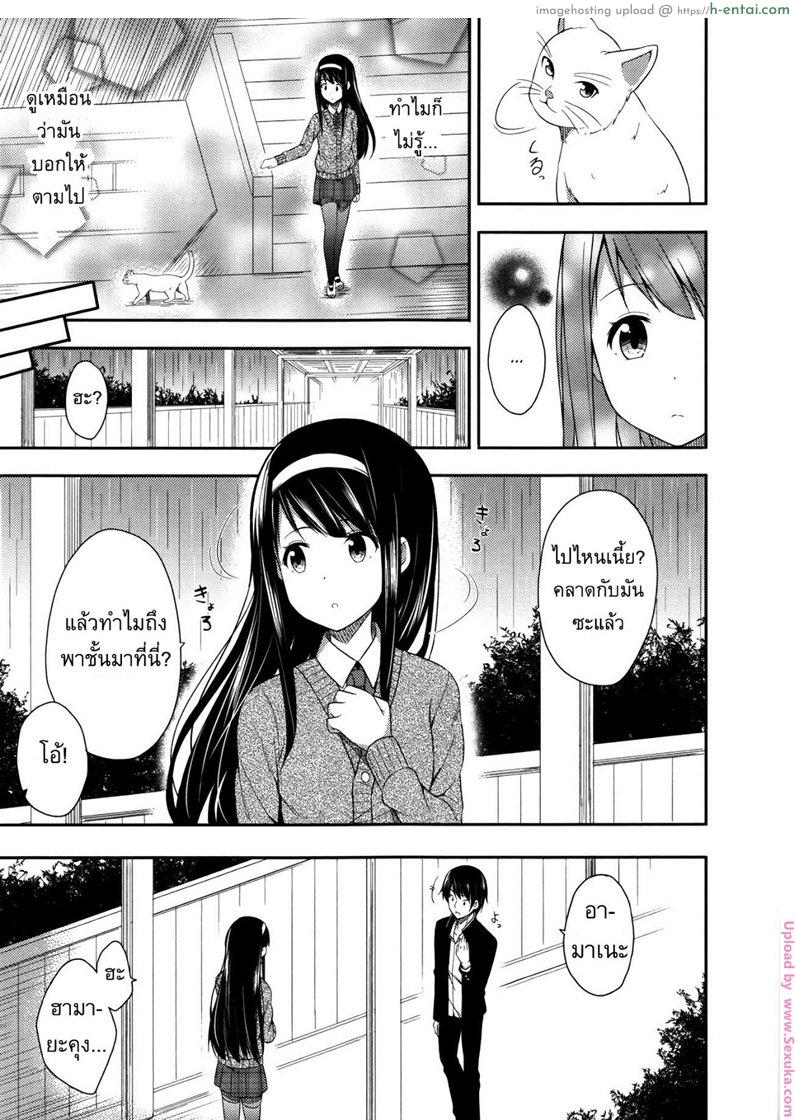 แมวแทนคุณ - แผ่น 7