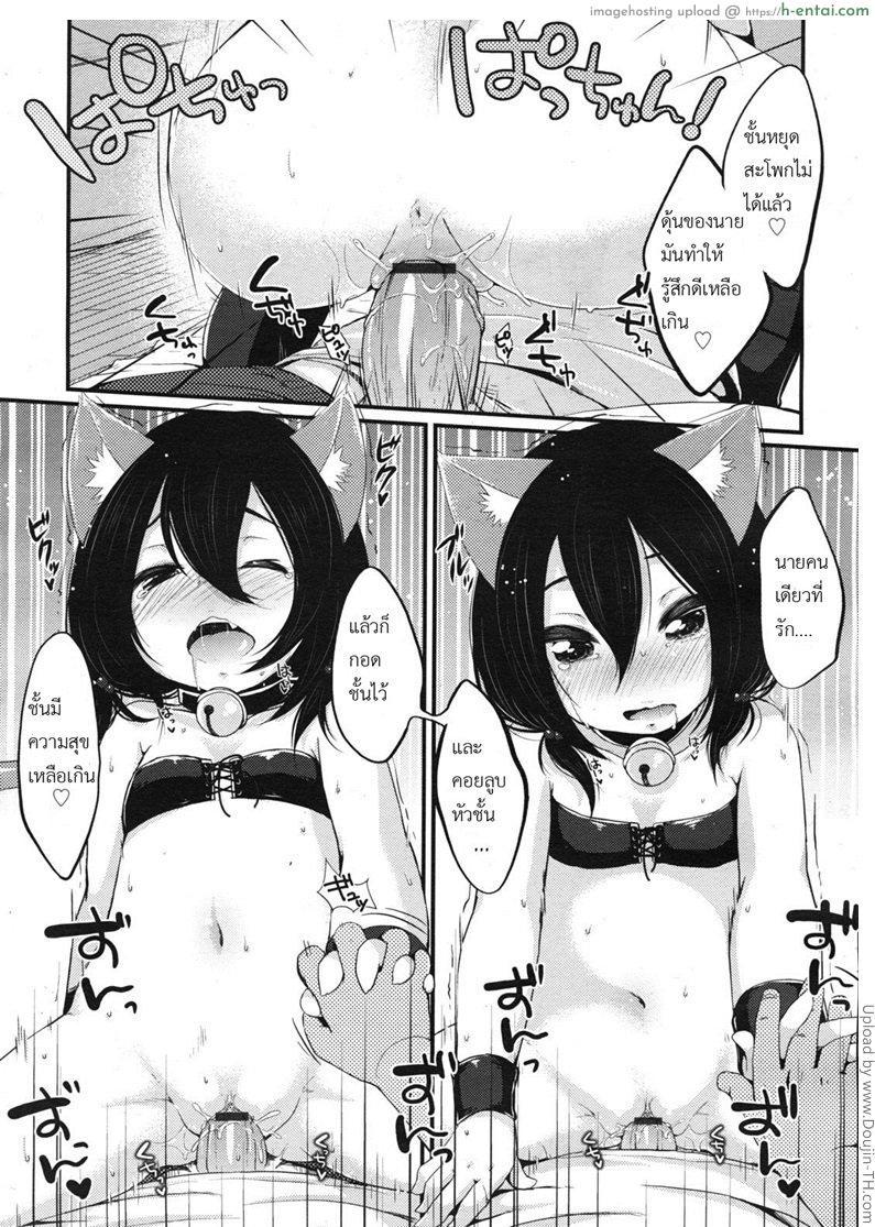 ให้น้องเหมียวช่วยดูแล - แผ่น 15