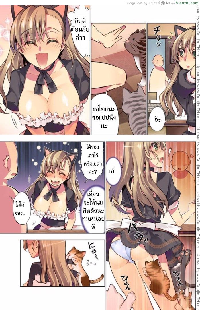 แมวคาเฟ่รุมทิ้งสาว - แผ่น 3