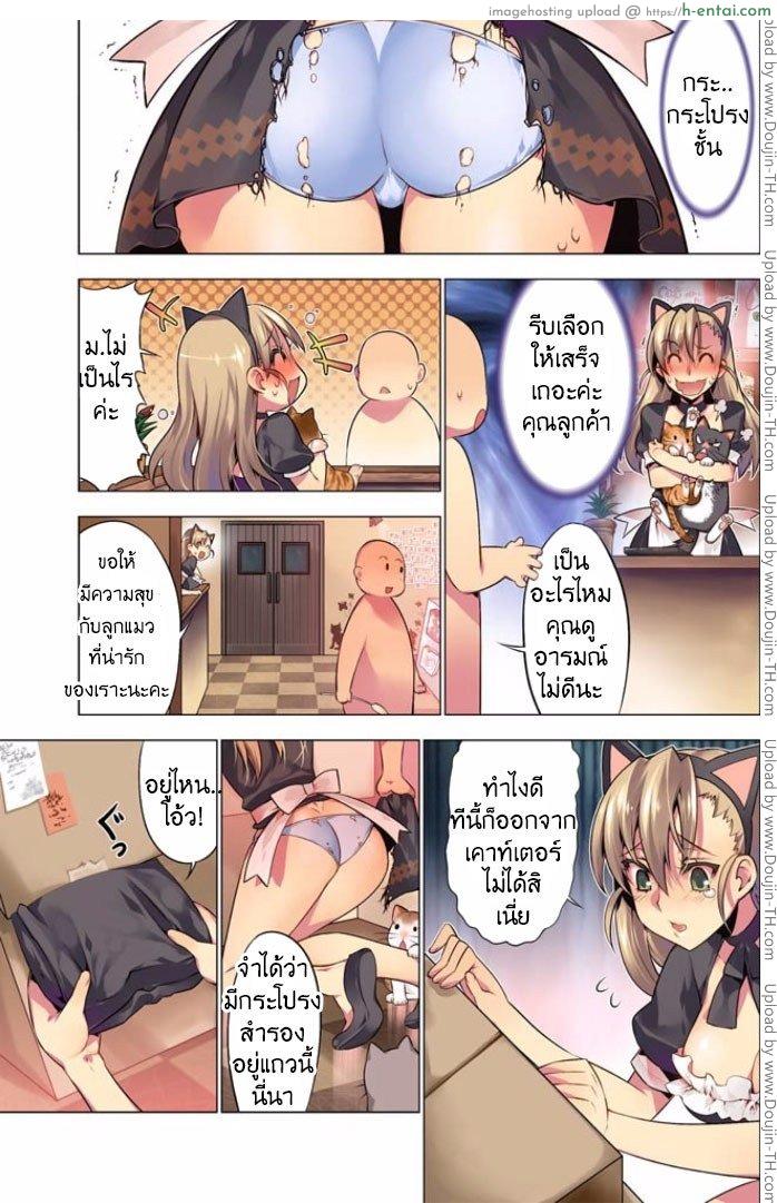 แมวคาเฟ่รุมทิ้งสาว - แผ่น 5
