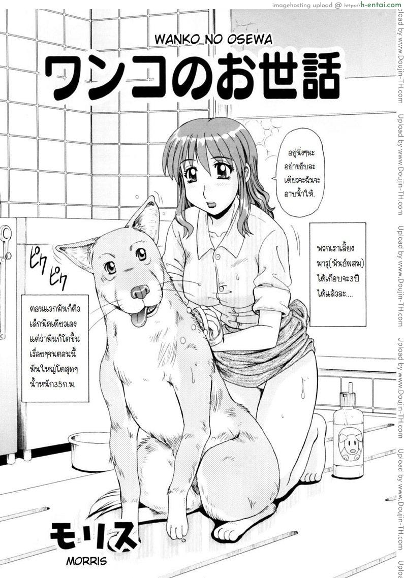 ให้หมาซอยจนติดเป้ง - แผ่น 2