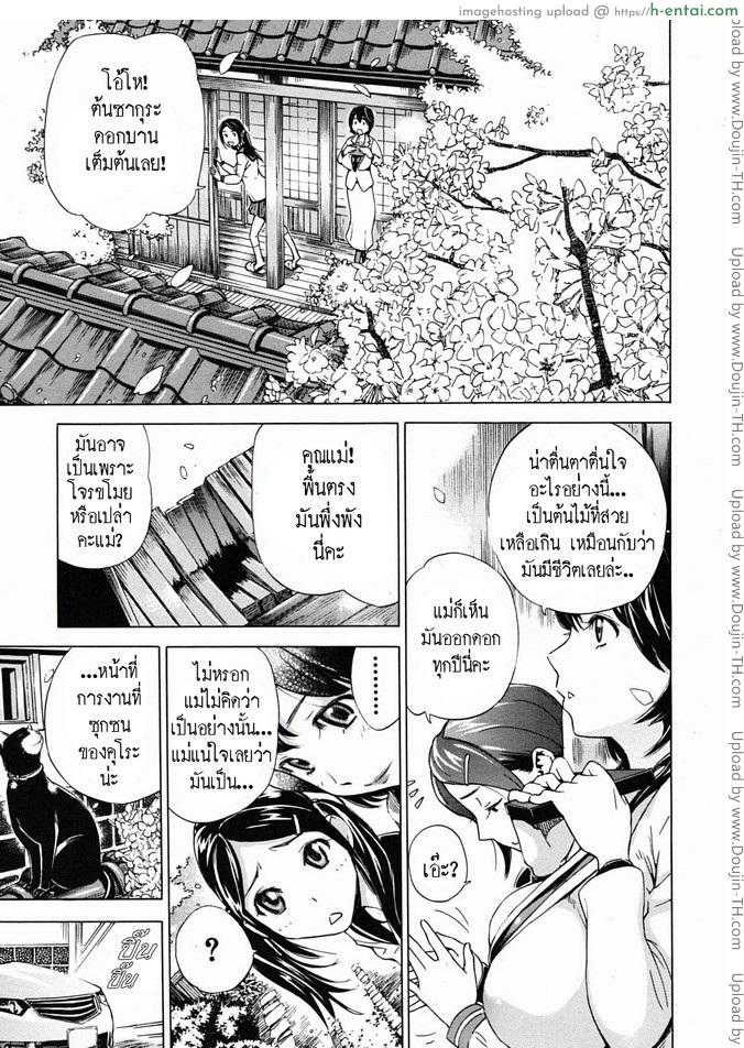 รักแรก - แผ่น 41