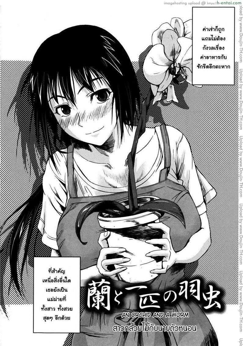 สาวกล้วยไม้กับนายตัวหนอน - แผ่น 2