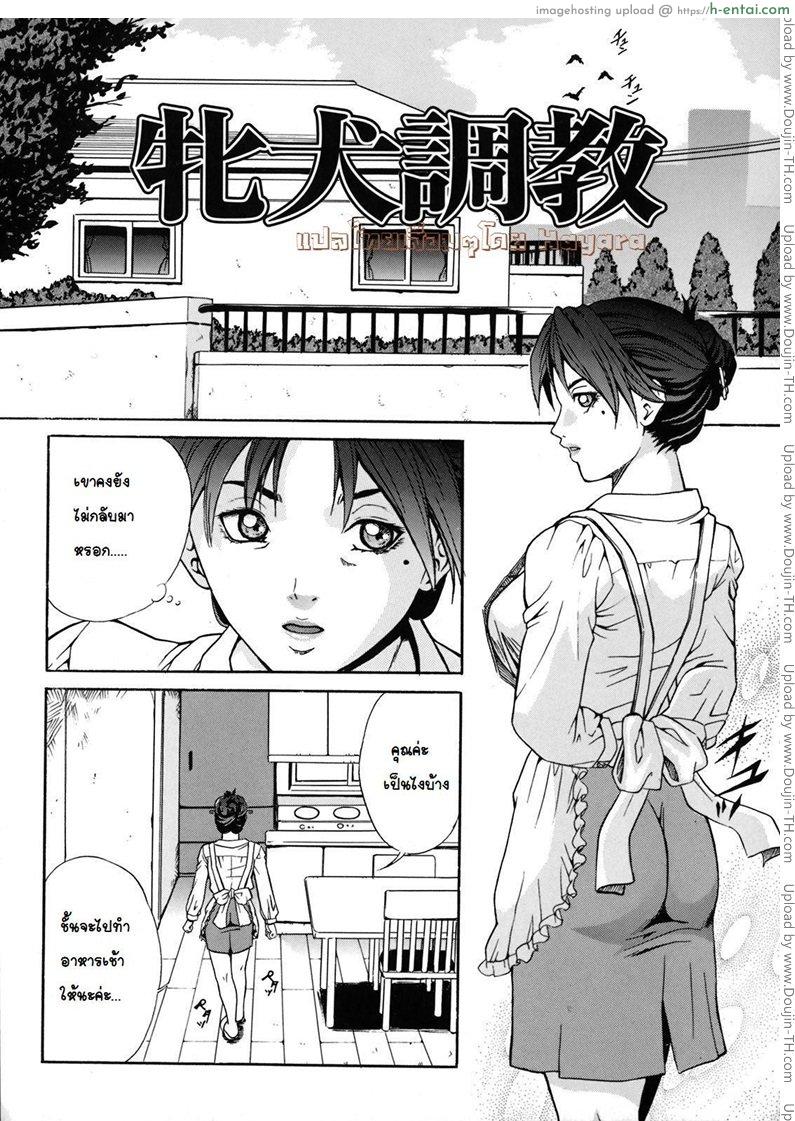 การฝึกสุนัขตัวเมีย - แผ่น 2