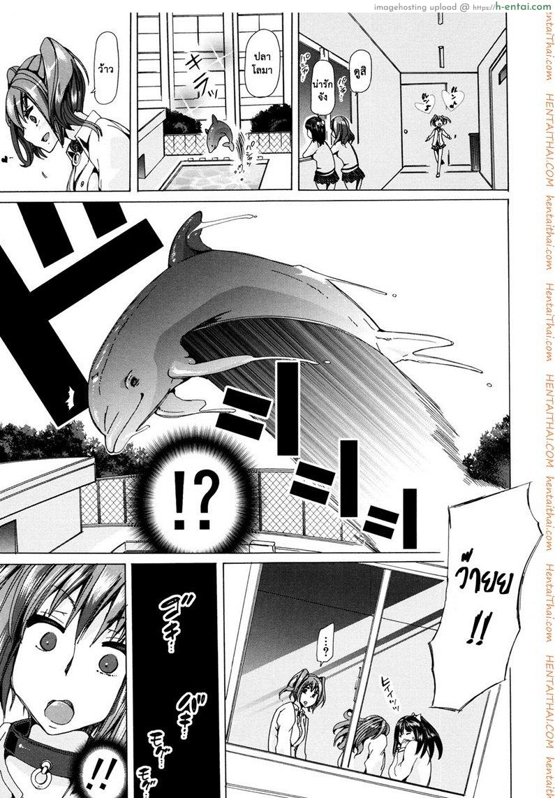 ผู้ดูแลคลาสติดสัด 4 - ฉลามบุก - แผ่น 7