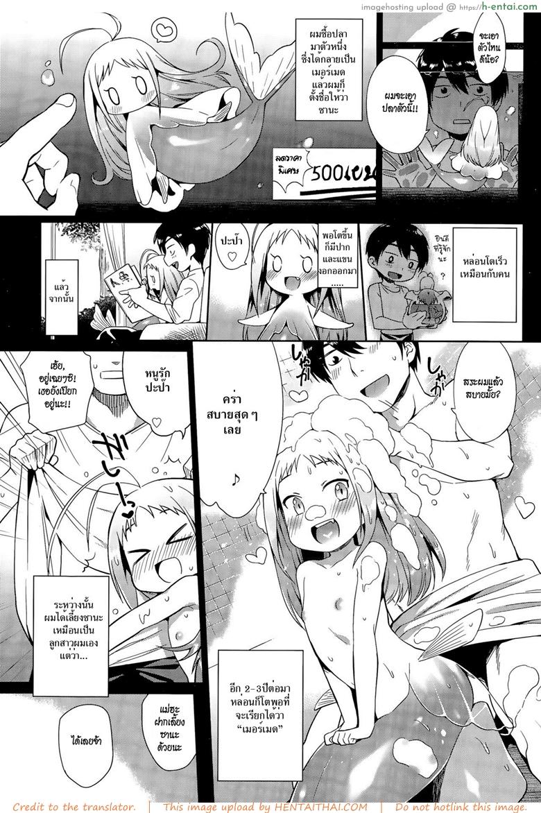 วิธีเลี้ยงเมอร์เมด - แผ่น 3