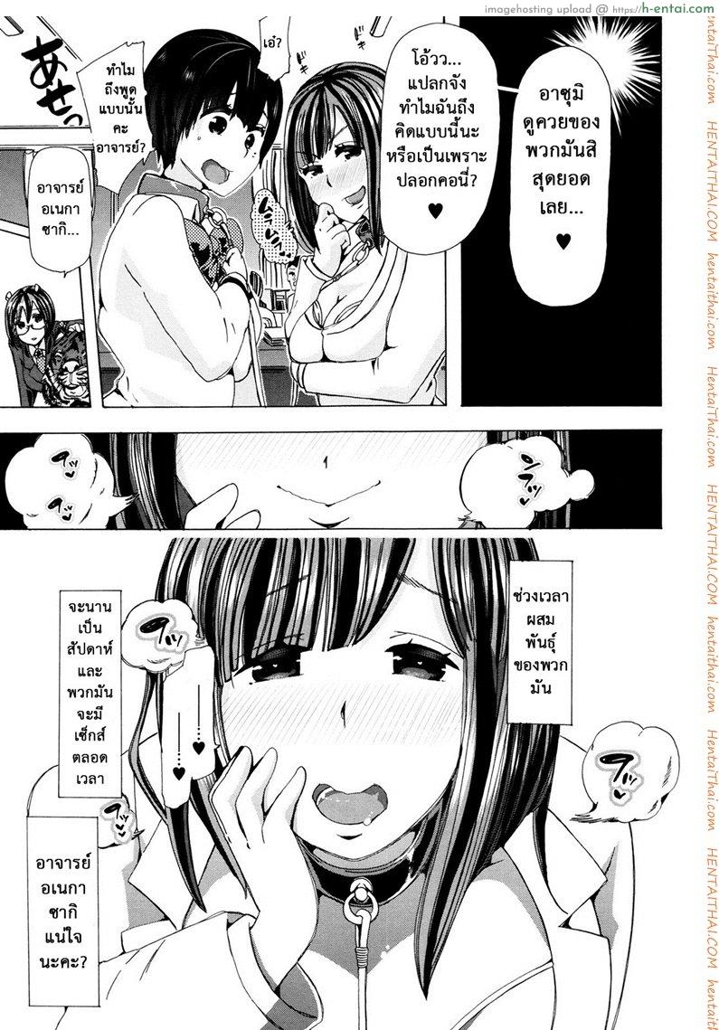 ผู้ดูแลคลาสติดสัด 6 - เสือ สิง กระทิง - แผ่น 3