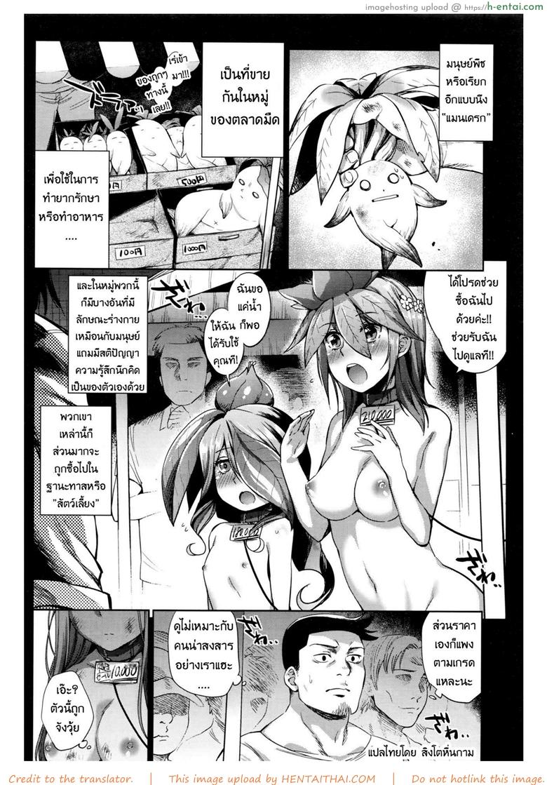 รักต้นไม้วันละนิด ชีวิตเบิกบาน - แผ่น 4