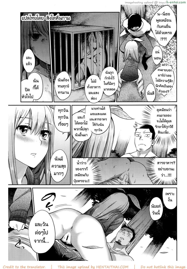 รักต้นไม้วันละนิด ชีวิตเบิกบาน - แผ่น 11