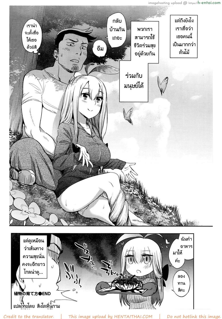 รักต้นไม้วันละนิด ชีวิตเบิกบาน - แผ่น 22