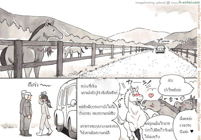 ผู้ดูแลฟาร์มสัตว์ - แผ่น 8