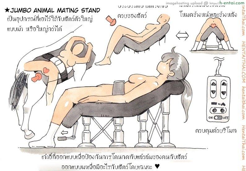 ผู้ดูแลฟาร์มสัตว์ - แผ่น 26