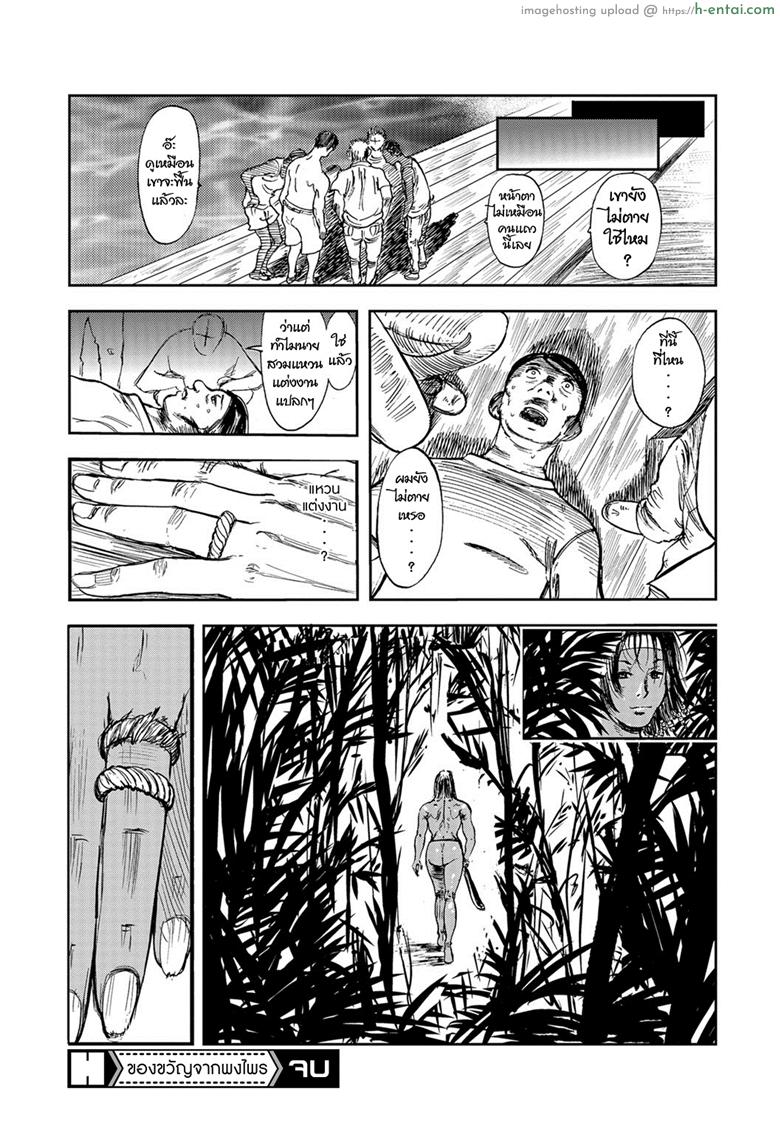 ของขวัญจากพงไพร - แผ่น 16